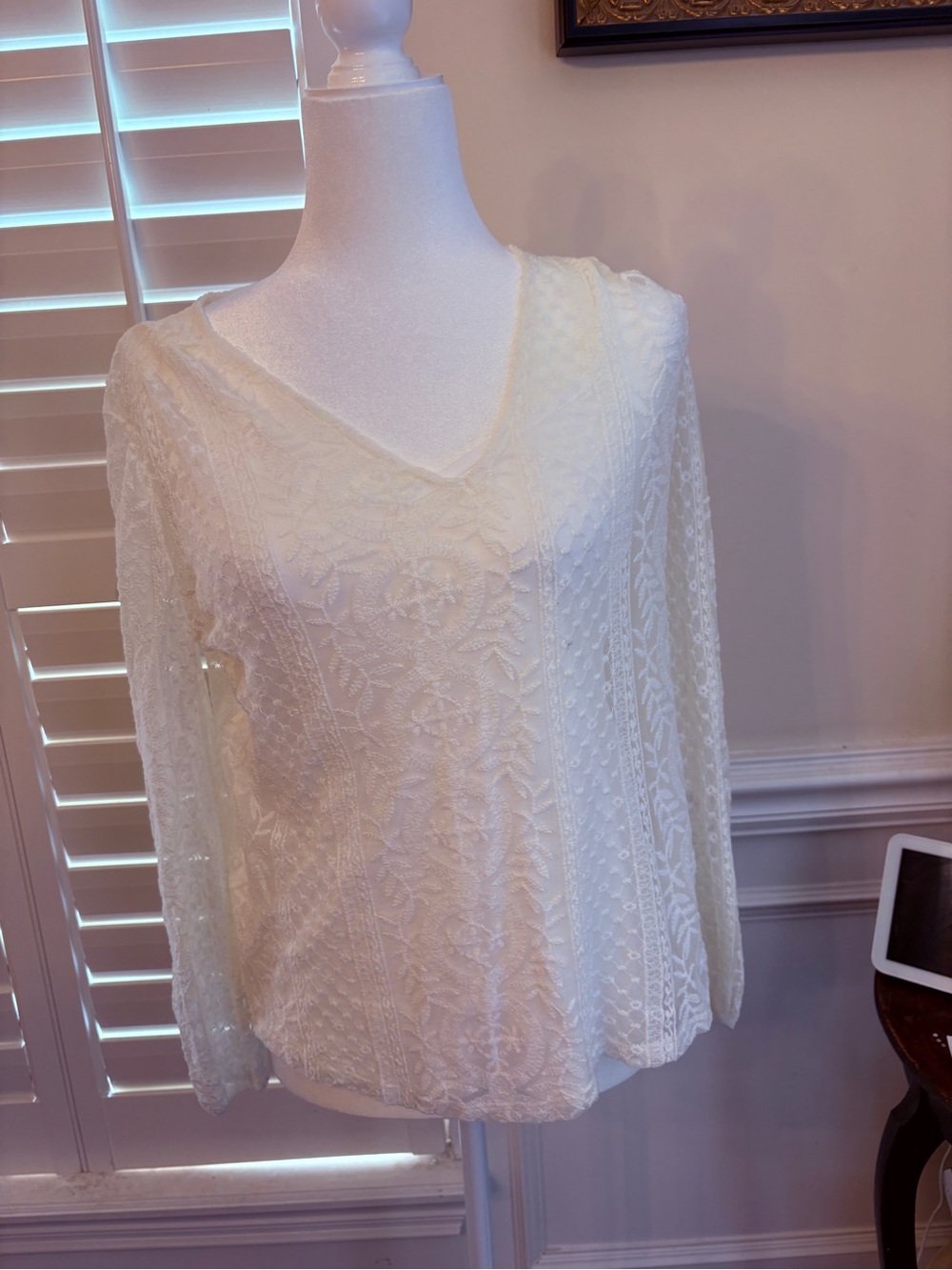 Adiva Cream Lace V-Neck Long Sleeve Tee
